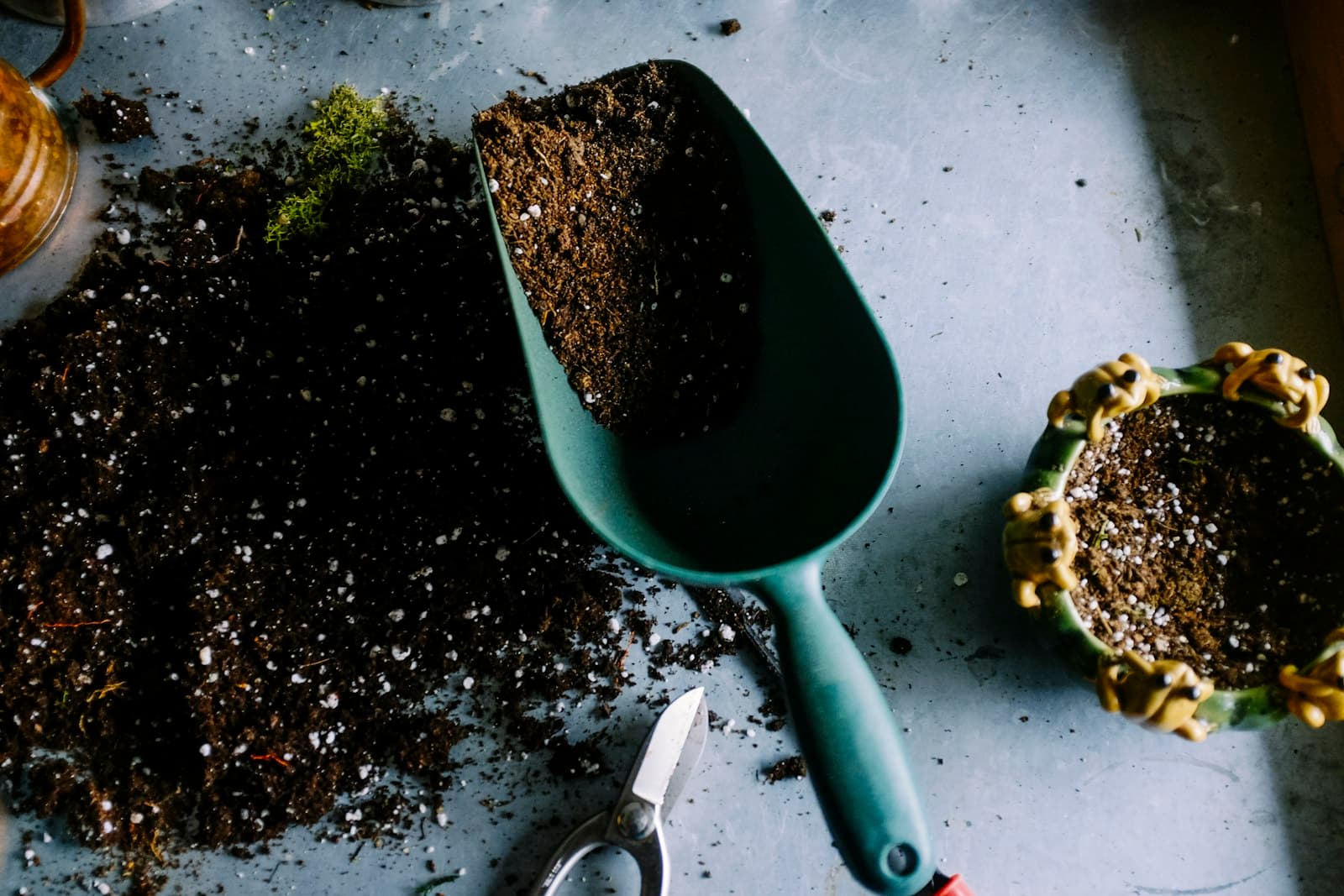 Lush cultivated plants