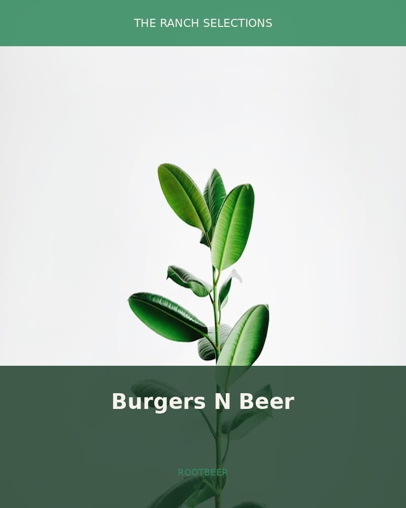 Burgers N Beer — seed pack