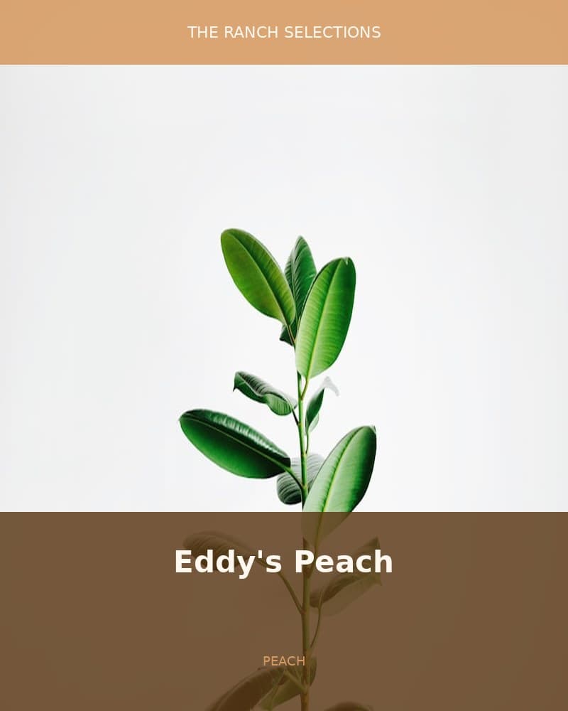 Eddy's Peach — seed pack