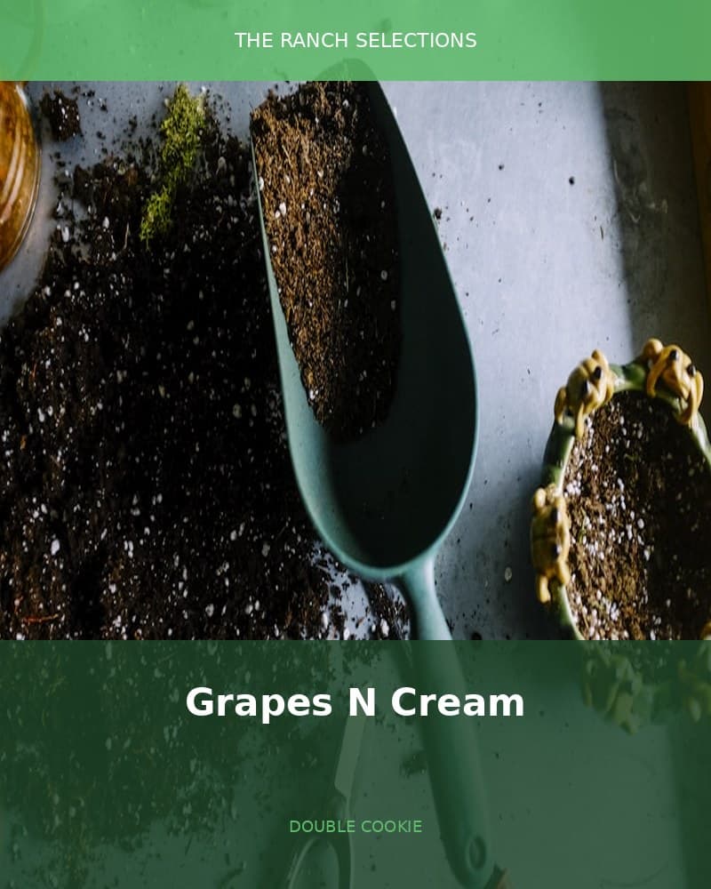 Grapes N Cream x Double Cookies — seed pack