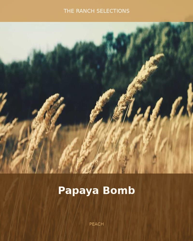Papaya Bomb x Peach Oz F2 — seed pack