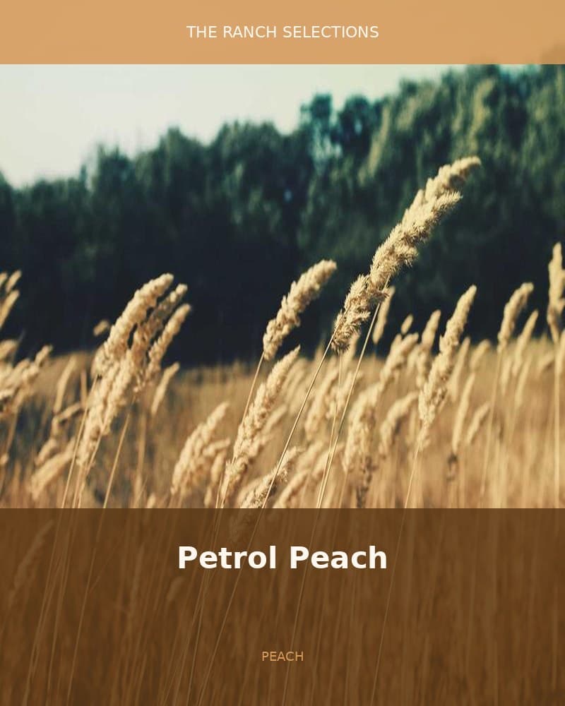 Petrol Peach (Grape Gas x Peach Oz F2) — seed pack