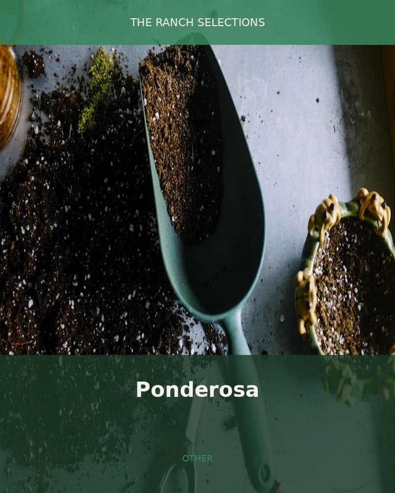 Ponderosa — seed pack