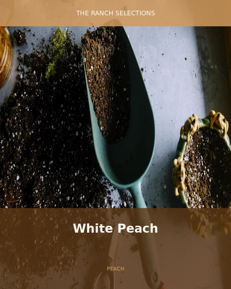 White Peach — seed pack