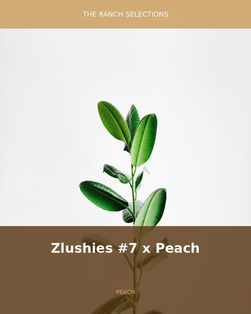 Zlushies #7 x Peach Oz — seed pack